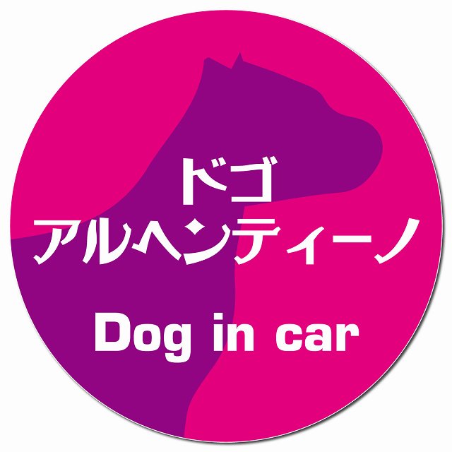 Dog in car ドゴアルヘンティーノ レトロ書体 ピンクパープル マグネット 車用 直径13cm 丸型 カーマグネット 表示プレート
