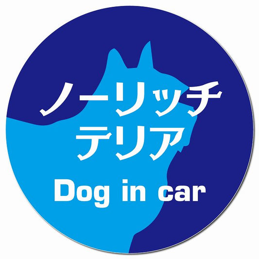 Dog in car ノーリッチテリア レトロ書体 ブルー マグネット 車用 直径13cm 丸型 カーマグネット 表示プレート