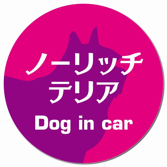 Dog in car ノーリッチテリア レトロ書体 ピンクパープル マグネット 車用 直径13cm 丸型 カーマグネット 表示プレート