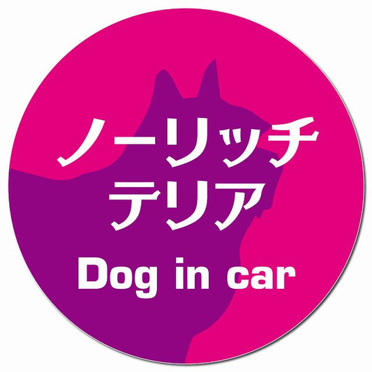 Dog in car ノーリッチテリア レトロ書体 ピンクパープル マグネット 車用 直径13cm 丸型 カーマグネット 表示プレート