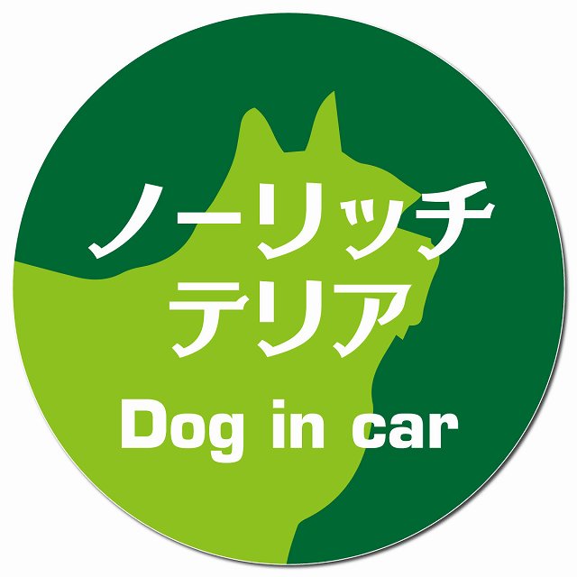 Dog in car ノーリッチテリア レトロ書体 グリーン マグネット 車用 直径13cm 丸型 カーマグネット 表示プレート