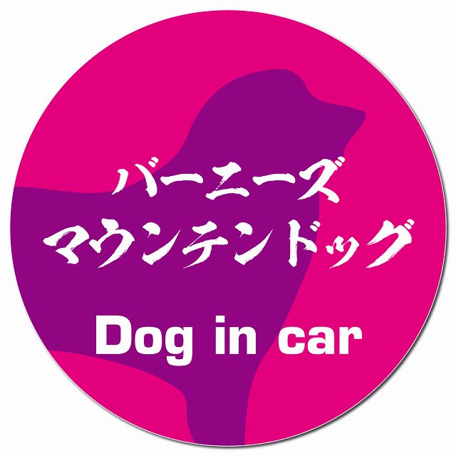 Dog in car バーニーズマウンテンドッグ 毛筆書体 ピンクパープル マグネット 車用 直径13cm 丸型 カーマグネット 表示プレート