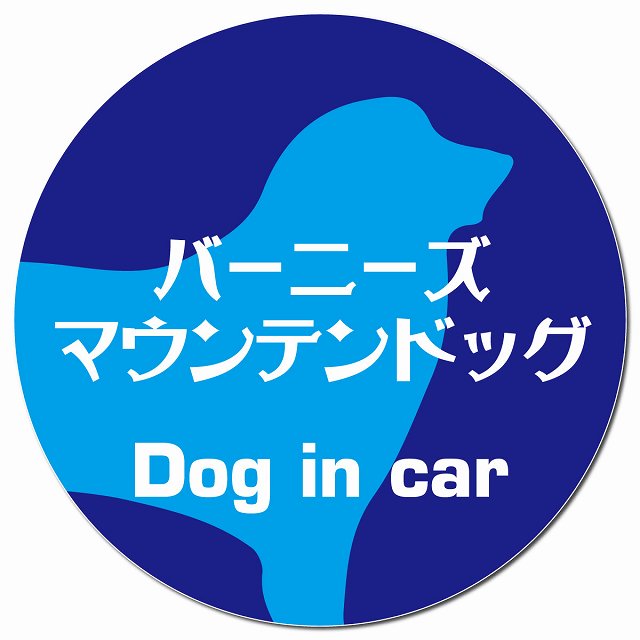 Dog in car バーニーズマウンテンドッグ レトロ書体 ブルー マグネット 車用 直径13cm 丸型 カーマグネット 表示プレート