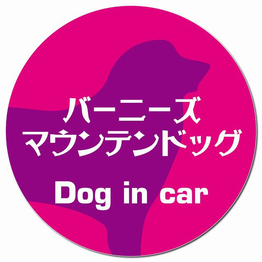 Dog in car バーニーズマウンテンドッグ レトロ書体 ピンクパープル マグネット 車用 直径13cm 丸型 カーマグネット 表示プレート