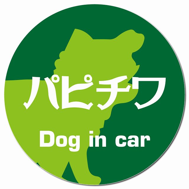 Dog in car パピチワ レトロ書体 グリーン マグネット 車用 直径13cm 丸型 カーマグネット 表示プレート