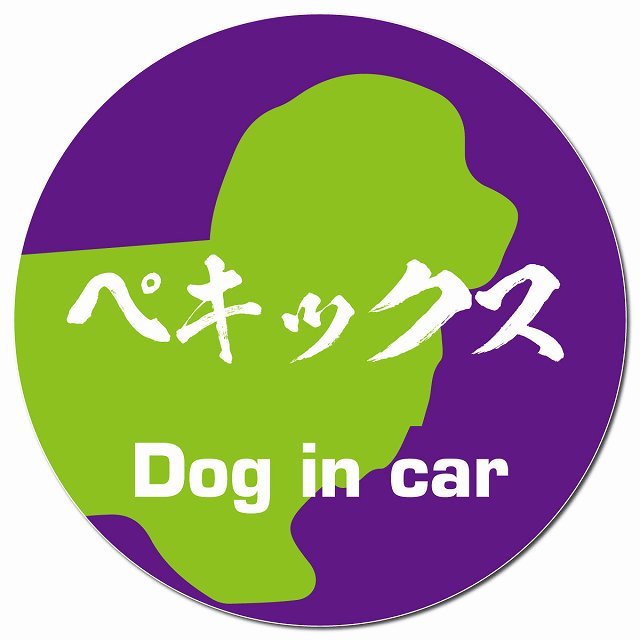 Dog in car ペキックス 毛筆書体 パープルグリーン マグネット 車用 直径13cm 丸型 カーマグネット 表示プレート