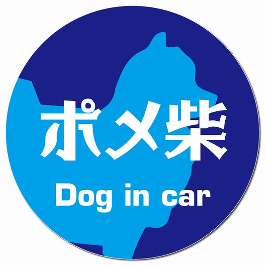 Dog in car ポメ柴 レトロ書体 ブルー マグネット 車用 直径13cm 丸型 カーマグネット 表示プレート