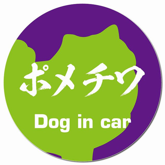 Dog in car ポメチワ 毛筆書体 パープルグリーン マグネット 車用 直径13cm 丸型 カーマグネット 表示プレート