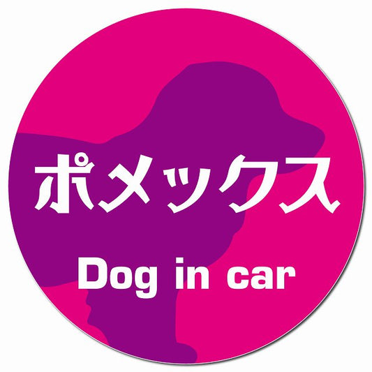 Dog in car ポメックス レトロ書体 ピンクパープル マグネット 車用 直径13cm 丸型 カーマグネット 表示プレート