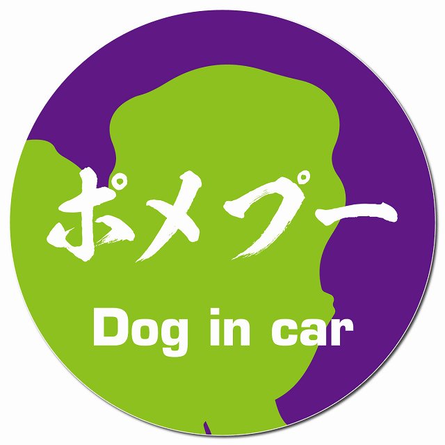 Dog in car ポメプー 毛筆書体 パープルグリーン マグネット 車用 直径13cm 丸型 カーマグネット 表示プレート