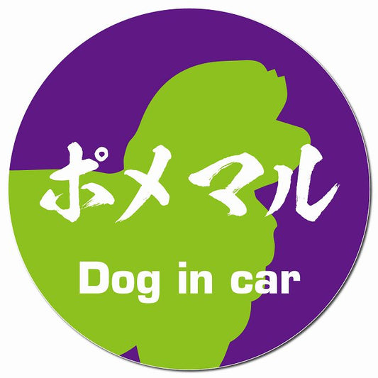 Dog in car ポメマル 毛筆書体 パープルグリーン マグネット 車用 直径13cm 丸型 カーマグネット 表示プレート