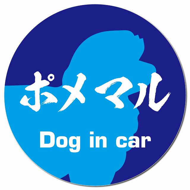 Dog in car ポメマル 毛筆書体 ブルー マグネット 車用 直径13cm 丸型 カーマグネット 表示プレート