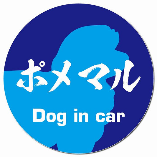 Dog in car ポメマル 毛筆書体 ブルー マグネット 車用 直径13cm 丸型 カーマグネット 表示プレート