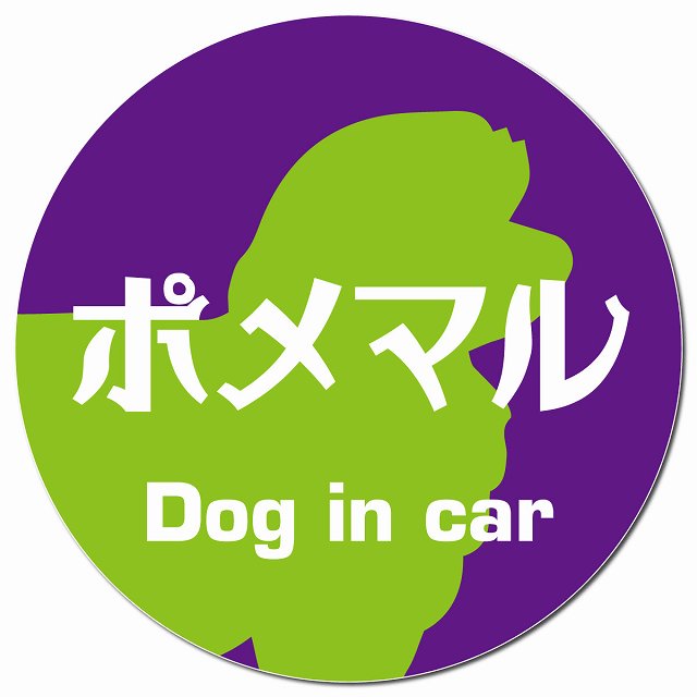 Dog in car ポメマル レトロ書体 パープルグリーン マグネット 車用 直径13cm 丸型 カーマグネット 表示プレート