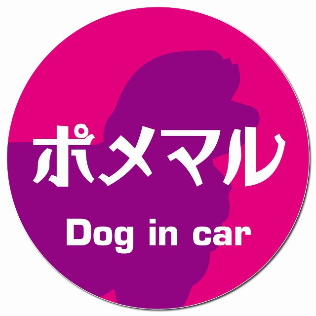 Dog in car ポメマル レトロ書体 ピンクパープル マグネット 車用 直径13cm 丸型 カーマグネット 表示プレート