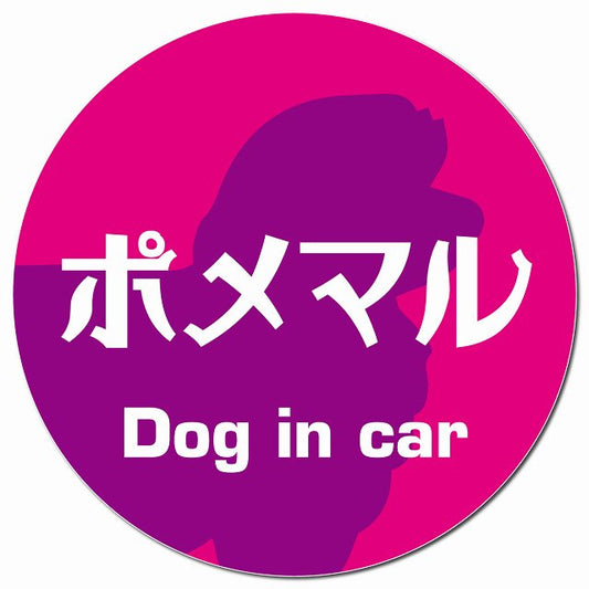 Dog in car ポメマル レトロ書体 ピンクパープル マグネット 車用 直径13cm 丸型 カーマグネット 表示プレート