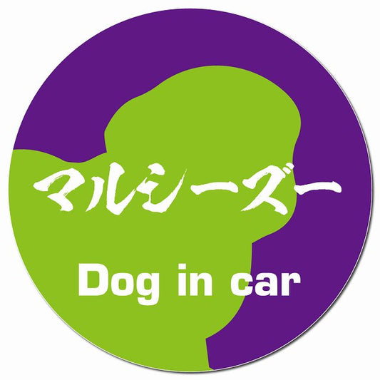 Dog in car マルシーズー 毛筆書体 パープルグリーン マグネット 車用 直径13cm 丸型 カーマグネット 表示プレート