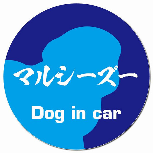 Dog in car マルシーズー 毛筆書体 ブルー マグネット 車用 直径13cm 丸型 カーマグネット 表示プレート