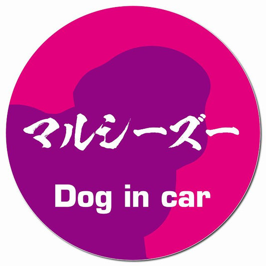 Dog in car マルシーズー 毛筆書体 ピンクパープル マグネット 車用 直径13cm 丸型 カーマグネット 表示プレート