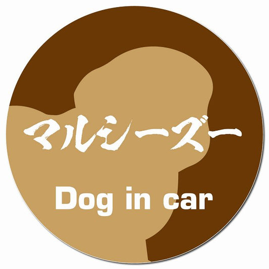 Dog in car マルシーズー 毛筆書体 ブラウン マグネット 車用 直径13cm 丸型 カーマグネット 表示プレート