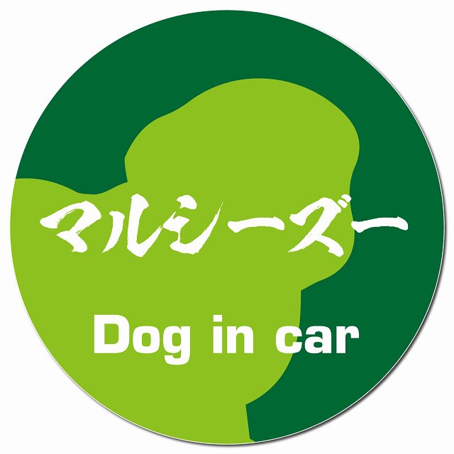 Dog in car マルシーズー 毛筆書体 グリーン マグネット 車用 直径13cm 丸型 カーマグネット 表示プレート