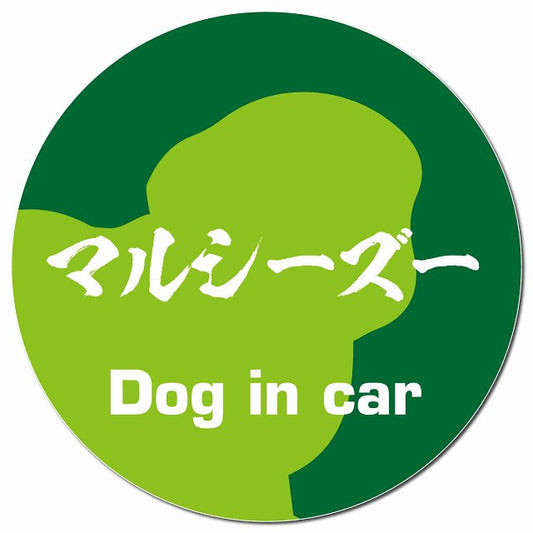 Dog in car マルシーズー 毛筆書体 グリーン マグネット 車用 直径13cm 丸型 カーマグネット 表示プレート