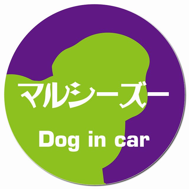 Dog in car マルシーズー レトロ書体 パープルグリーン マグネット 車用 直径13cm 丸型 カーマグネット 表示プレート