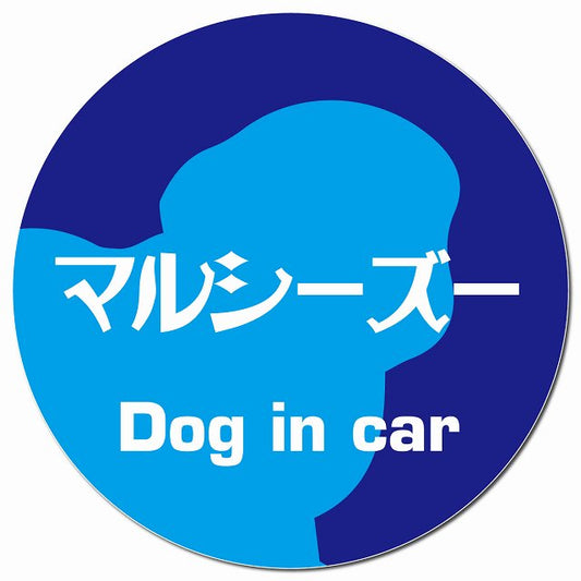 Dog in car マルシーズー レトロ書体 ブルー マグネット 車用 直径13cm 丸型 カーマグネット 表示プレート