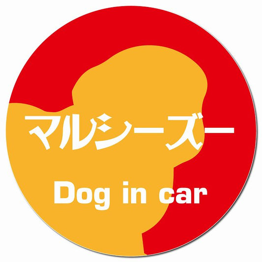 Dog in car マルシーズー レトロ書体 レッドオレンジ マグネット 車用 直径13cm 丸型 カーマグネット 表示プレート