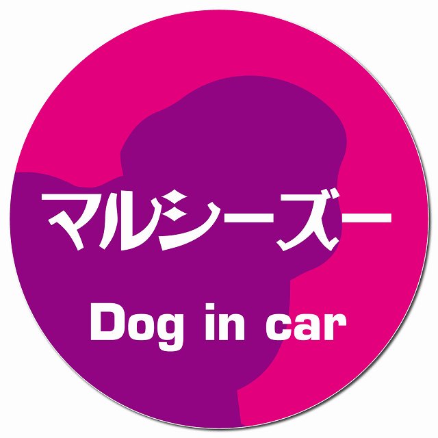 Dog in car マルシーズー レトロ書体 ピンクパープル マグネット 車用 直径13cm 丸型 カーマグネット 表示プレート