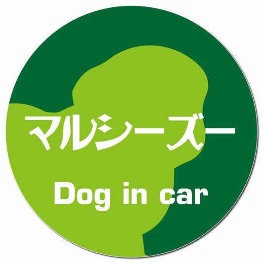 Dog in car マルシーズー レトロ書体 グリーン マグネット 車用 直径13cm 丸型 カーマグネット 表示プレート