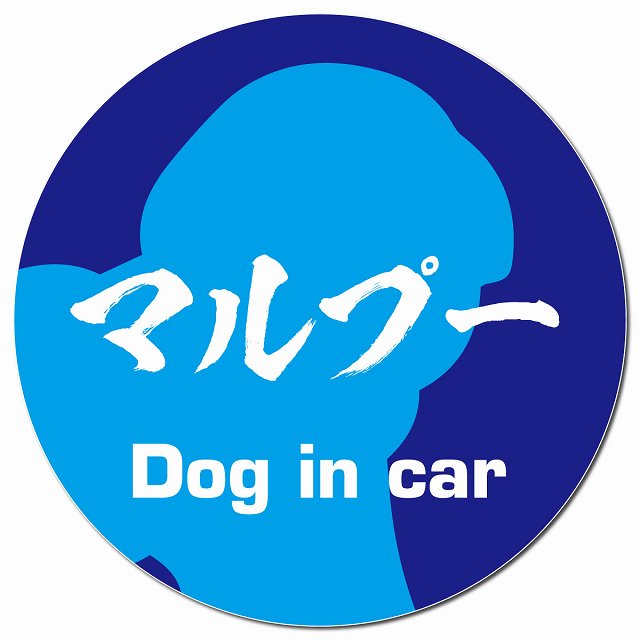 Dog in car マルプー 毛筆書体 ブルー マグネット 車用 直径13cm 丸型 カーマグネット 表示プレート