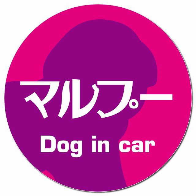 Dog in car マルプー レトロ書体 ピンクパープル マグネット 車用 直径13cm 丸型 カーマグネット 表示プレート