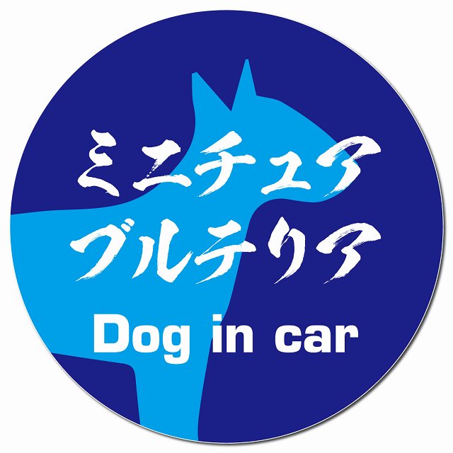 Dog in car ミニチュアブルテリア 毛筆書体 ブルー マグネット 車用 直径13cm 丸型 カーマグネット 表示プレート