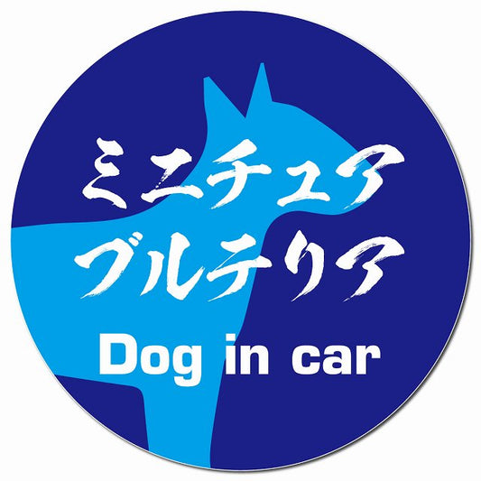 Dog in car ミニチュアブルテリア 毛筆書体 ブルー マグネット 車用 直径13cm 丸型 カーマグネット 表示プレート