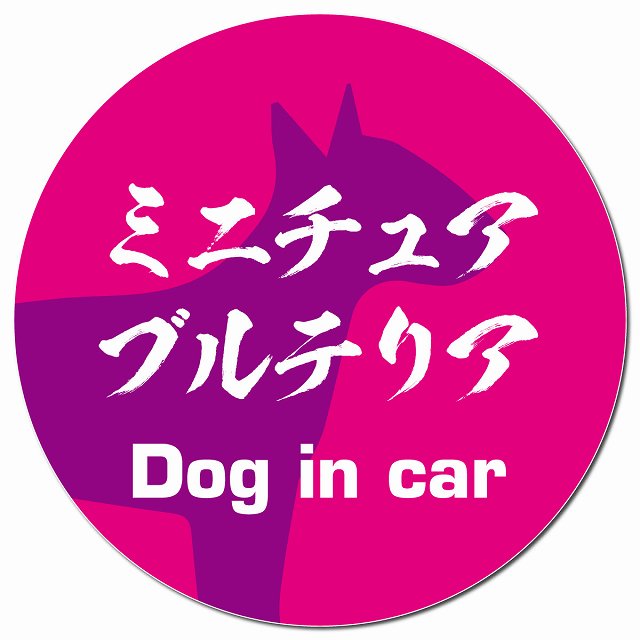 Dog in car ミニチュアブルテリア 毛筆書体 ピンクパープル マグネット 車用 直径13cm 丸型 カーマグネット 表示プレート