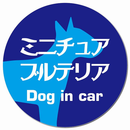 Dog in car ミニチュアブルテリア レトロ書体 ブルー マグネット 車用 直径13cm 丸型 カーマグネット 表示プレート