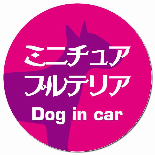 Dog in car ミニチュアブルテリア レトロ書体 ピンクパープル マグネット 車用 直径13cm 丸型 カーマグネット 表示プレート