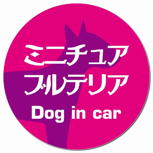 Dog in car ミニチュアブルテリア レトロ書体 ピンクパープル マグネット 車用 直径13cm 丸型 カーマグネット 表示プレート