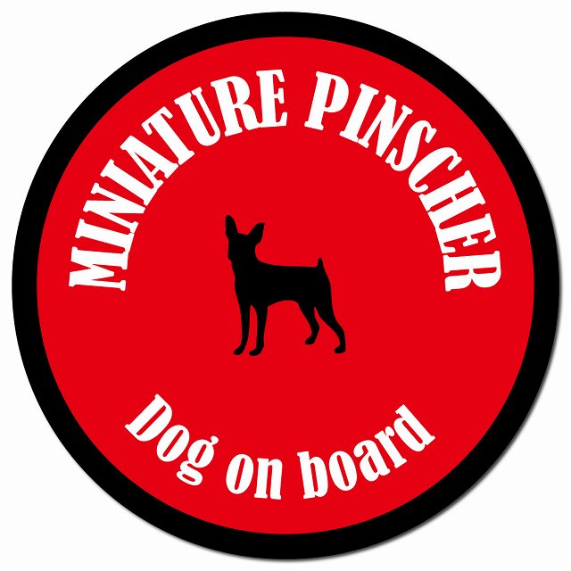 カラフル Dog on board ミニチュアピンシャー レッド＆ブラック マグネット 車用 直径13cm 丸型 カーマグネット