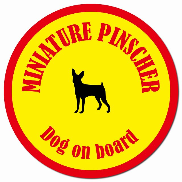 カラフル Dog on board ミニチュアピンシャー イエロー&レッド マグネット 車用 直径13cm 丸型 カーマグネット