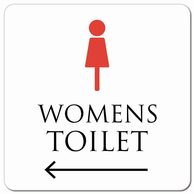 トイレ 御手洗 TOILET トイレマーク ホワイト＆カラー WOMENS 左 矢印 ピクトサイン マグネット 正方形 13x13cm マグネットサイン 誘導表示 ピクトグラム