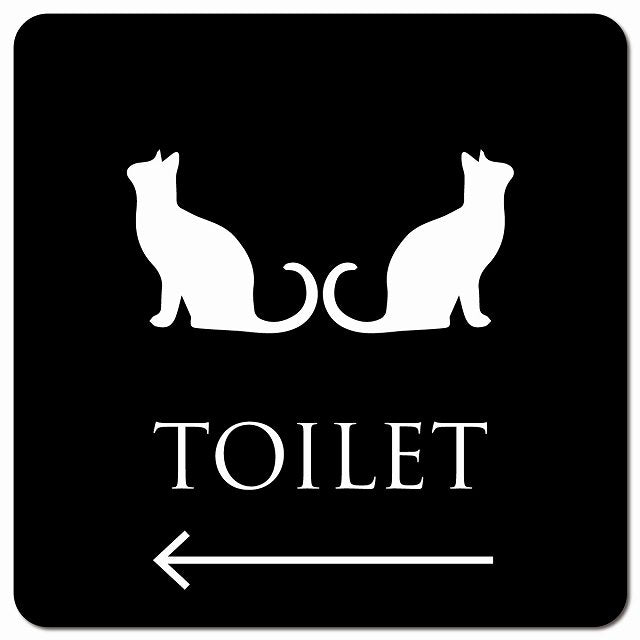 トイレ 御手洗 TOILET トイレマーク ねこ 猫 ネコ ブラック ホワイト 男女マーク 左 矢印 ピクトサイン マグネット 正方形 13x13cm マグネットサイン 誘導表示 ピクトグラム