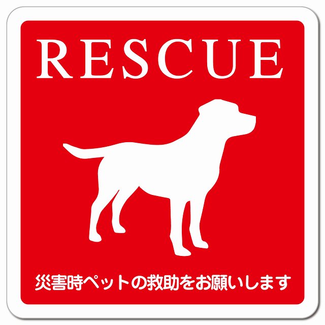 RESCUE レスキュー ペット救助 犬 ピクトサイン マグネット 正方形 13x13cm マグネットサイン 表示プレート ピクトグラム