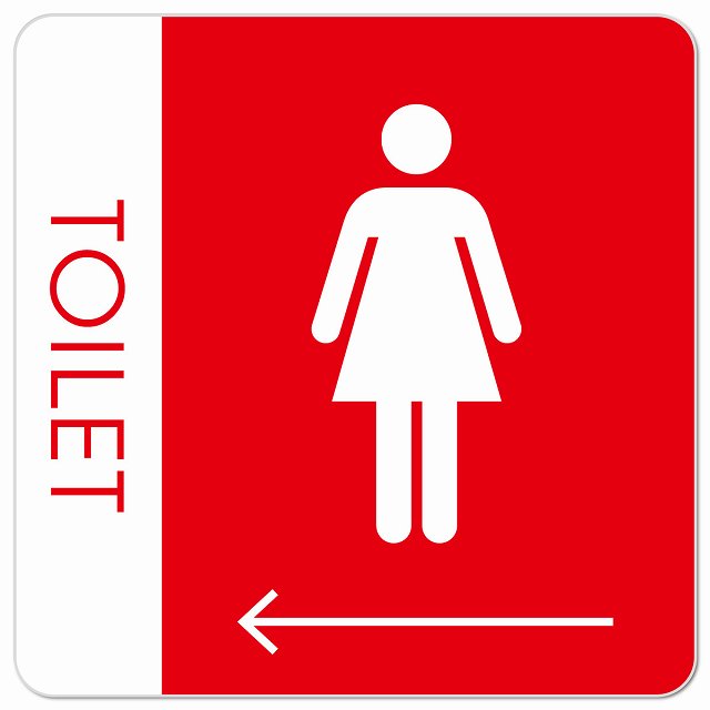トイレ 御手洗 TOILET トイレマーク B1女 左 矢印 ピクトサイン マグネット 正方形 13x13cm マグネットサイン 誘導表示 ピクトグラム
