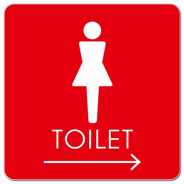 トイレ 御手洗 TOILET トイレマーク A2女 右 矢印 ピクトサイン マグネット 正方形 13x13cm マグネットサイン 誘導表示 ピクトグラム