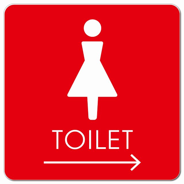 トイレ 御手洗 TOILET トイレマーク C2女 右 矢印 ピクトサイン マグネット 正方形 13x13cm マグネットサイン 誘導表示 ピクトグラム
