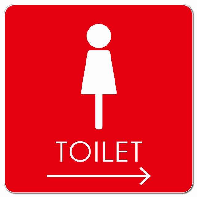 トイレ 御手洗 TOILET トイレマーク E2女 右 矢印 ピクトサイン マグネット 正方形 13x13cm マグネットサイン 誘導表示 ピクトグラム
