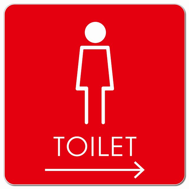 トイレ 御手洗 TOILET トイレマーク H2女 右 矢印 ピクトサイン マグネット 正方形 13x13cm マグネットサイン 誘導表示 ピクトグラム