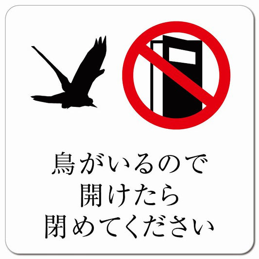 鳥がいるので開けたら閉めてください 鳥 飛び出し防止 開放厳禁 マグネット 正方形 13x13cm マグネットサイン 禁止表示 ピクトサイン ピクトグラム